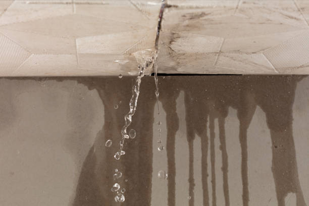 Professional Structural Drying technician working in Wells, ME